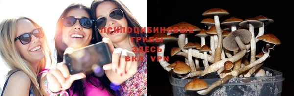 ECSTASY Белоозёрский