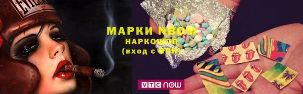 гидра Верхний Тагил